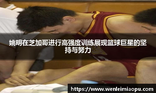 姚明在芝加哥进行高强度训练展现篮球巨星的坚持与努力