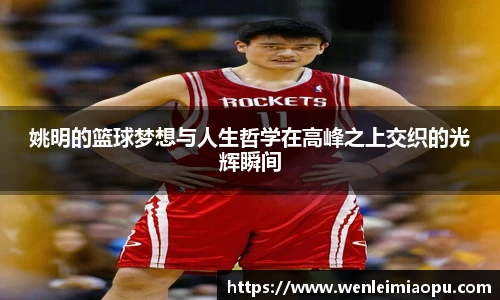 姚明的篮球梦想与人生哲学在高峰之上交织的光辉瞬间