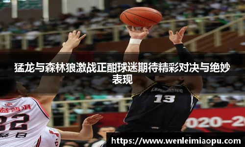 猛龙与森林狼激战正酣球迷期待精彩对决与绝妙表现