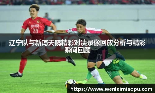 辽宁队与新泻天鹅精彩对决录像回放分析与精彩瞬间回顾